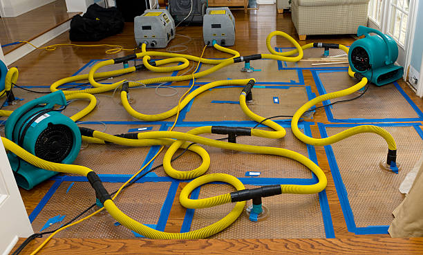 Professional Crawl Space Water Removal technician working in Fults, IL